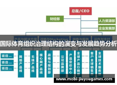 国际体育组织治理结构的演变与发展趋势分析