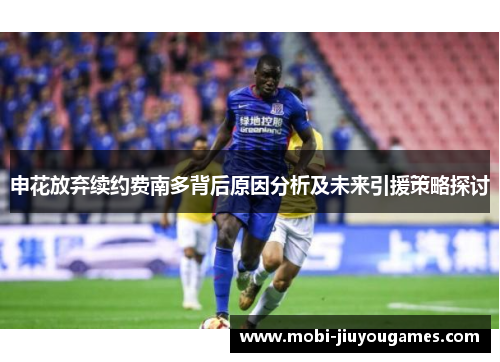 申花放弃续约费南多背后原因分析及未来引援策略探讨