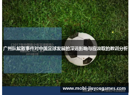 广州队解散事件对中国足球发展的深远影响与应汲取的教训分析